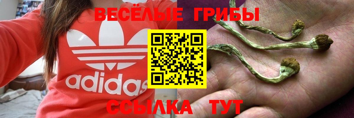 А ПВП Кстово